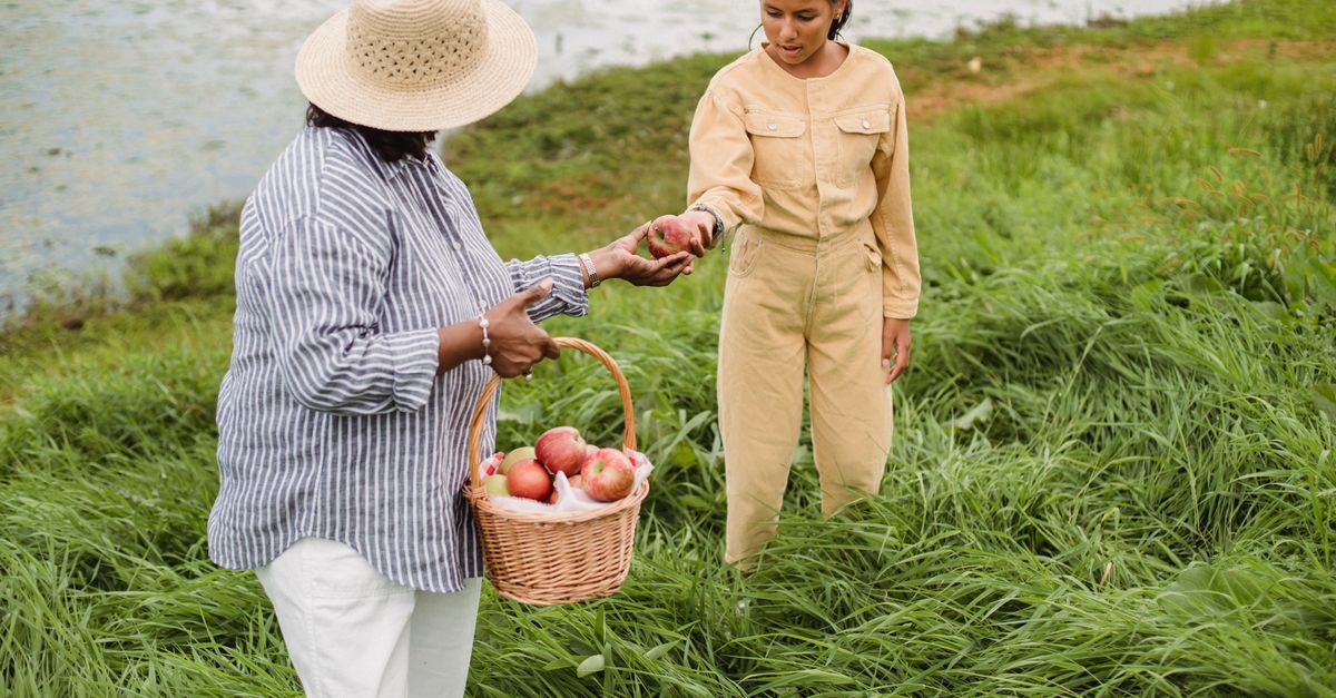 Unrecognizable ethnic woman carrying wicker basket with apple harvest and giving fresh fruit to girl standing in high grass near lake