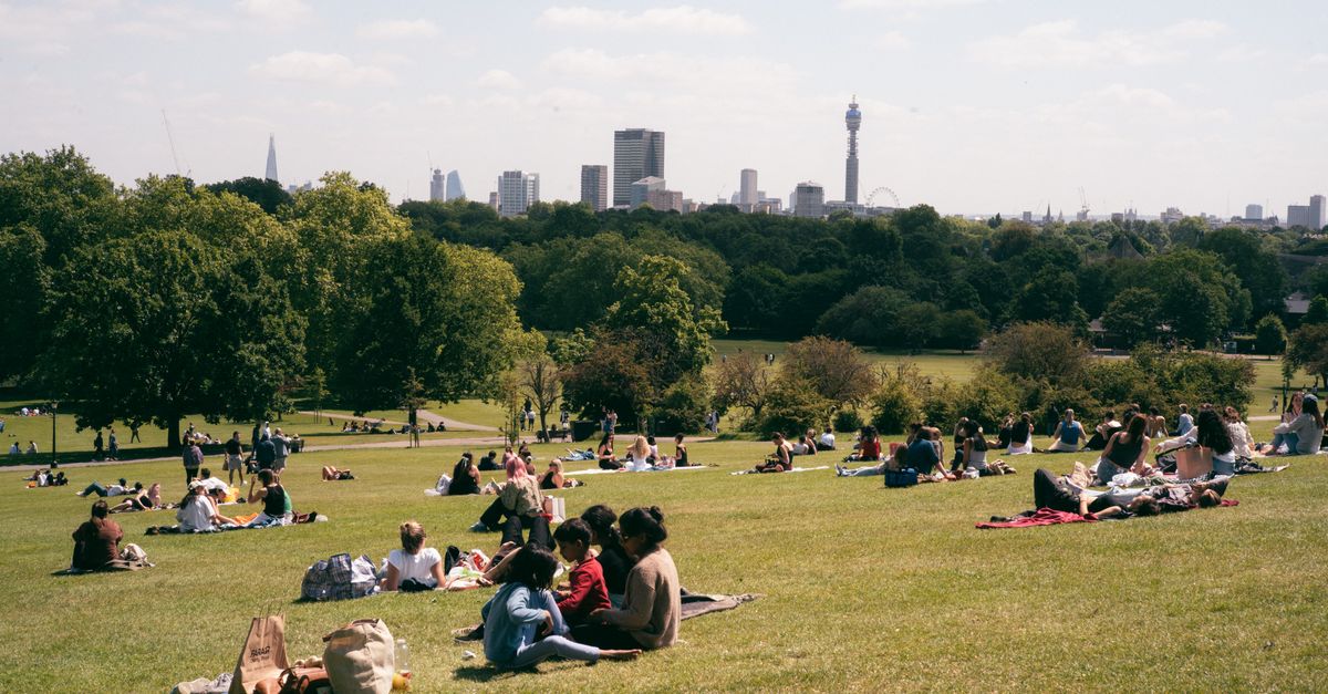 People relaxing on Primrose Hill with a view of the London skyline on a sunny day.
