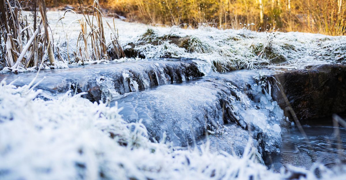 A frozen stream in a winter landscape, showcasing frosty grass and ice, Newcastle-under-Lyme.